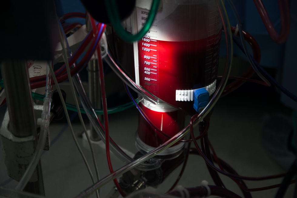 Танюшин Алексей-5136.jpg Танюшин Алексей-5136.jpg